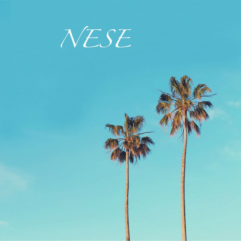 Neşe