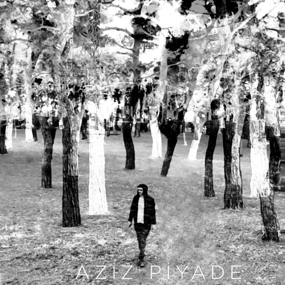 Aziz Piyade