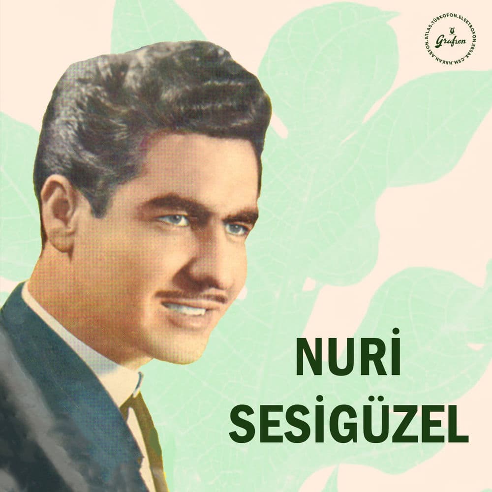 Nuri Sesigüzel