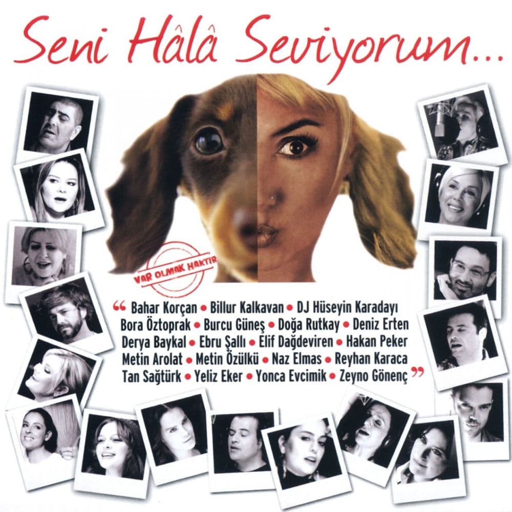 Seni Seviyorum