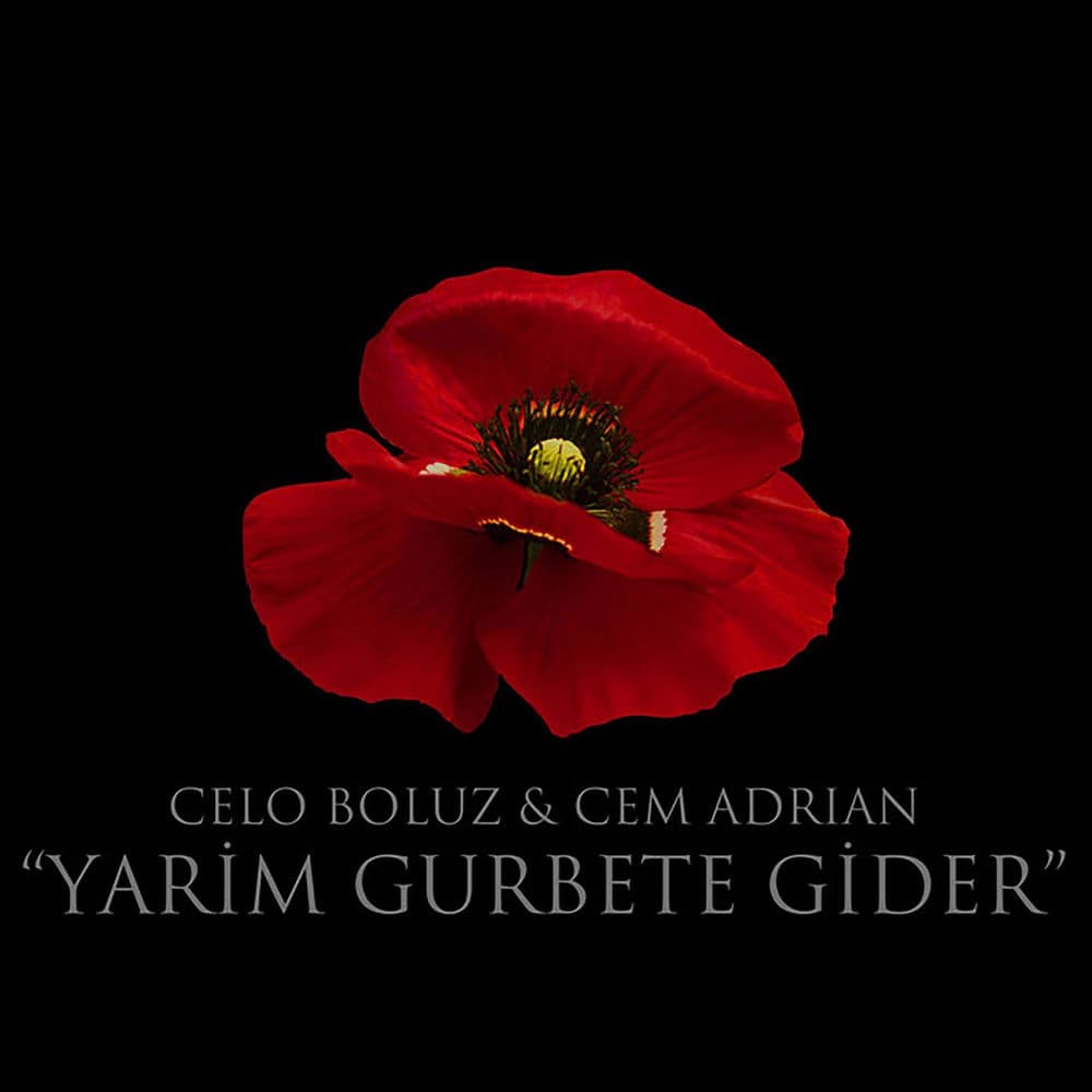 Yarim Gurbete Gider