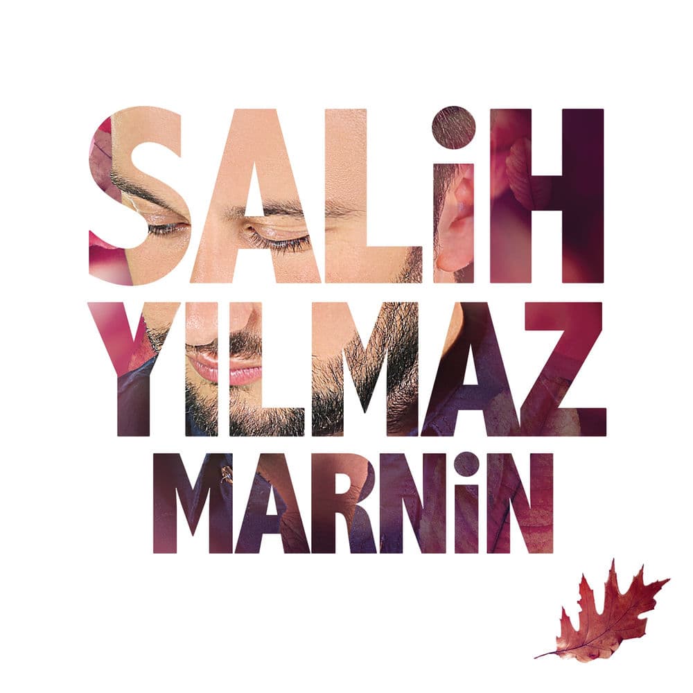 Gelini