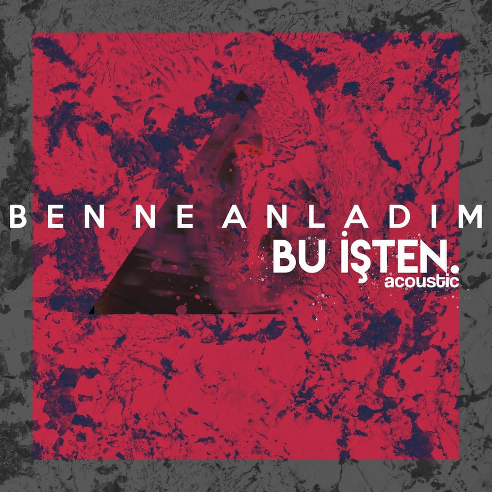 Ben ne anladım bu işten