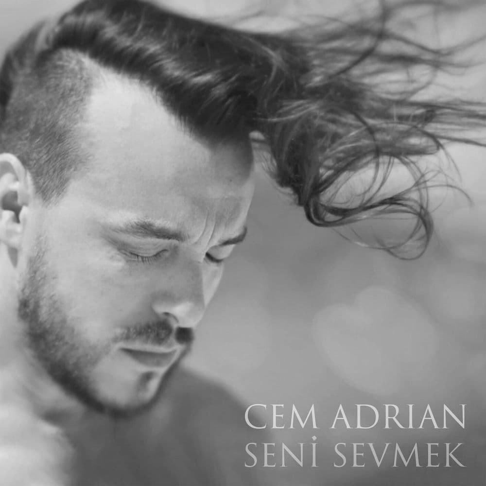 Seni Sevmek