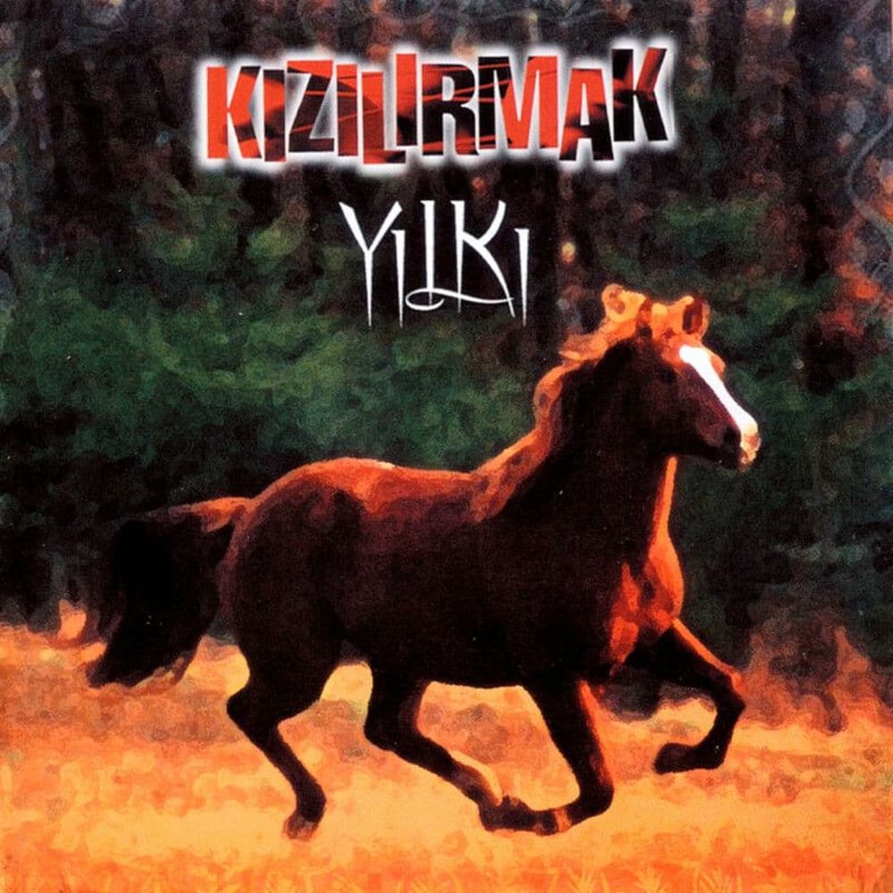 Aldı Gitti