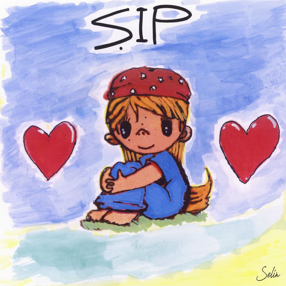 Şıp