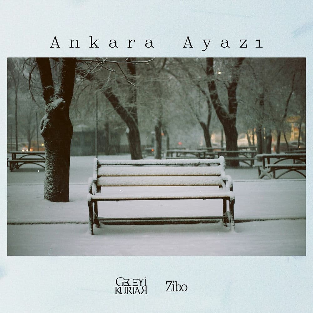 Ankara Ayazı (Zibo)
