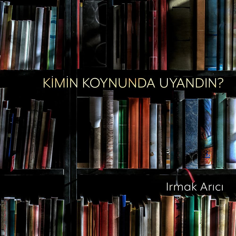 Kimin Koynunda Uyandın