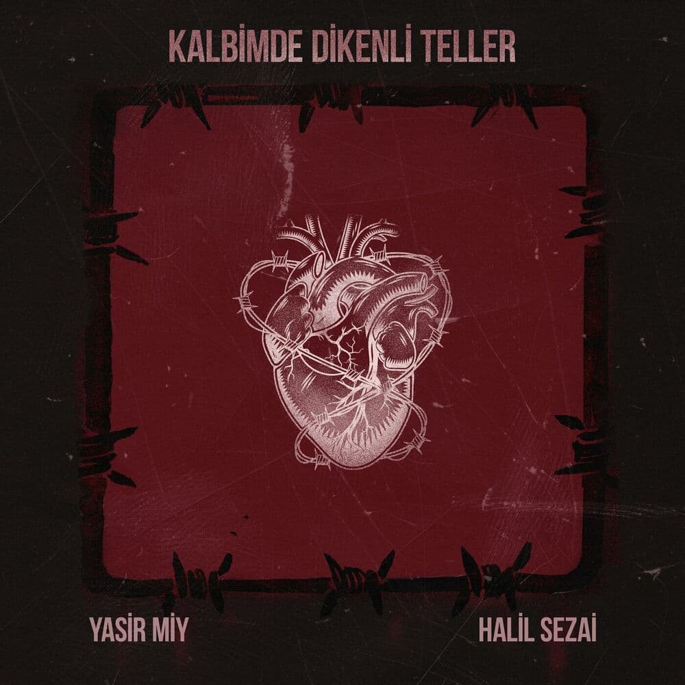 Kalbimde Dikenli Teller
